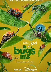 A Real Bug's Life / Ζουζούνια από Κοντά (2024)