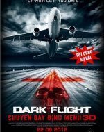 407 Dark Flight 3D (2012)