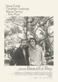 Beautiful Boy / Ένα Όμορφο Αγόρι (2018)