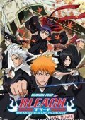 Bleach: Memories of Nobody (2006)