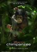 Chimpanzee (2012)