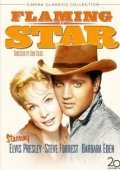 Flaming Star (1960)