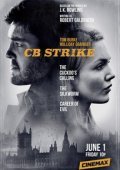Strike (2017)