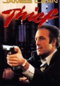 Η λεωφόρος της βίας / Thief (1981)