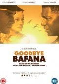 The Color of Freedom - Goodbye Bafana (2007)