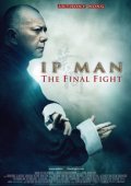 Ip Man: The Final Fight (2013)