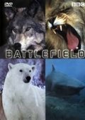 Wild Battlefields (2004)