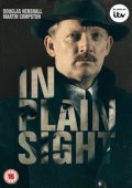 In Plain Sight (2016)