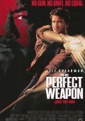 The Perfect Weapon (1991)