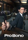 Pro Bono / Δωρεάν Υπεράσπιση (2025)