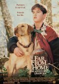 Far from Home: The Adventures of Yellow Dog (1995)