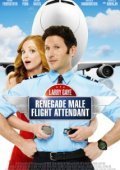 Larry Gaye: Renegade Male Flight Attendant (2015)