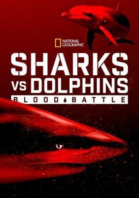 Sharks vs. Dolphins: Blood Battle (2020)