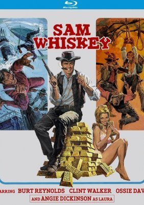 Sam Whiskey (1969)
