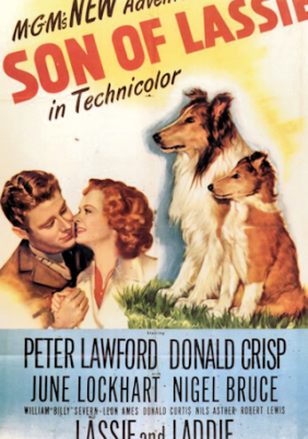 Son of Lassie (1945)