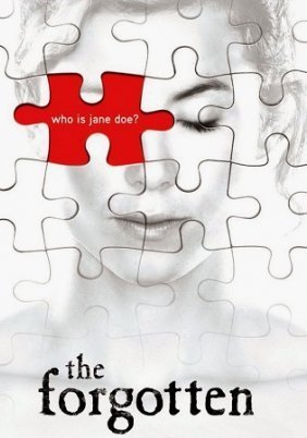 The Forgotten (2009–2010) TV Series