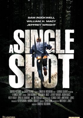 A Single Shot (2013)
