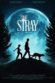 The Stray (2017)
