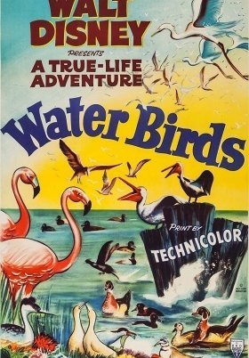 Θαλασσοπουλια / Water Birds (1952)