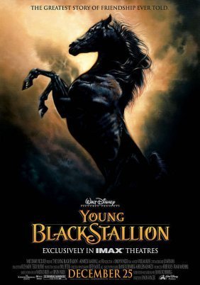 Καλπαζοντας Σαν Τον Ανεμο / Young Black Stallion (2003)