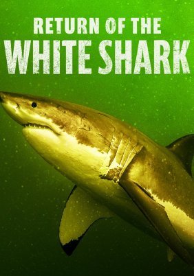 Return of the White Shark (2023)