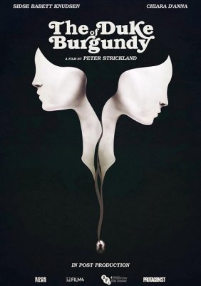 The Duke of Burgundy (2014)