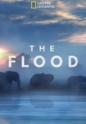 The Flood (2018)