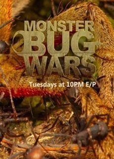 Monster Bug Wars!  / Ζωύφια σε πόλεμο  (2009)