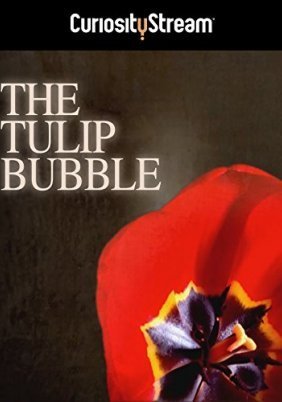 Το Μεγάλο Φιάσκο της Τουλίπας / The Tulip Bubble (2013)
