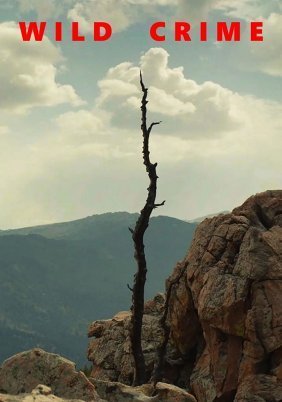 Αγριο Εγκλημα / Wild Crime (2021)