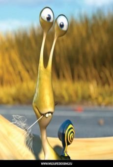 Wildlife Crossing! (2014) Short