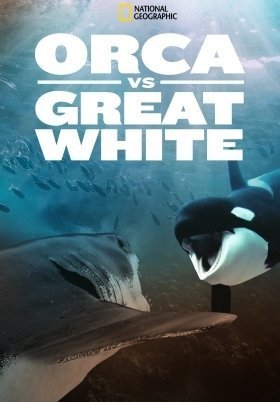 Shark vs. Whale (2020)