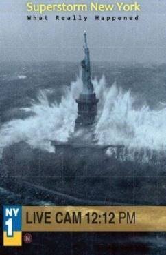 Superstorm New York: What Really Happened (2012)