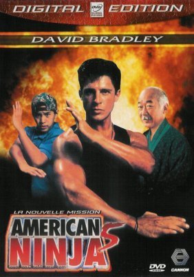 American Ninja 5 (1993)