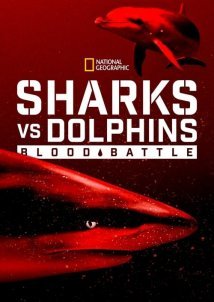 Sharks vs. Dolphins: Blood Battle (2020)