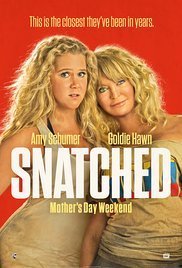 Snatched / Όμηροι Διακοπών (2017)