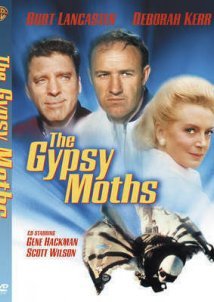 The Gypsy Moths / Οι δαίμονες των ουρανών (1969)
