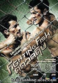 Fighting Fish (2012)