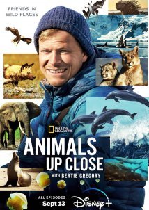 Animals Up Close with Bertie Gregory (2022)