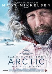 Αρκτική / Arctic (2018)