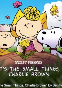 It's the Small Things, Charlie Brown (2022)