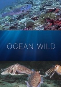 Ocean Wild / η Άγρια Μαγεία των Ωκεανών (2022)