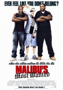 Malibu's Most Wanted / Η Απαγωγη Του Γιου (2003)