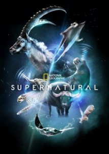 Υπερ/Φυσικό / Super/Natural (2022)