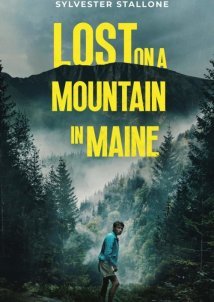 Lost on a Mountain in Maine (2024)