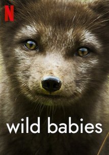 Wild Babies (2022)