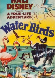 Θαλασσοπουλια / Water Birds (1952)