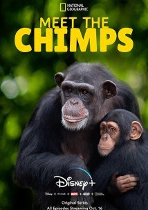Meet the Chimps (2020)