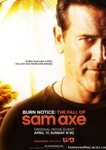 Burn Notice The Fall Of Sam (2011)
