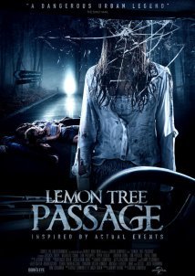 Lemon Tree Pass (2013)